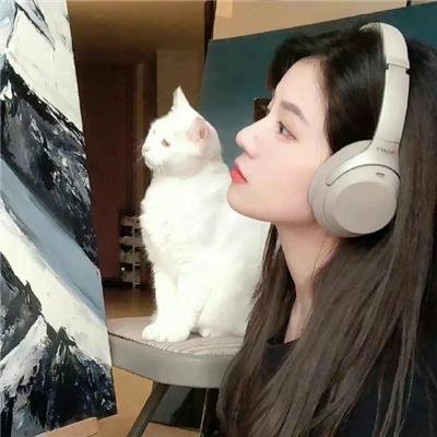 四个大姐一个婚礼