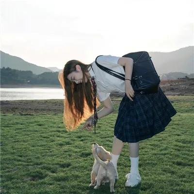 雏燕鸣春